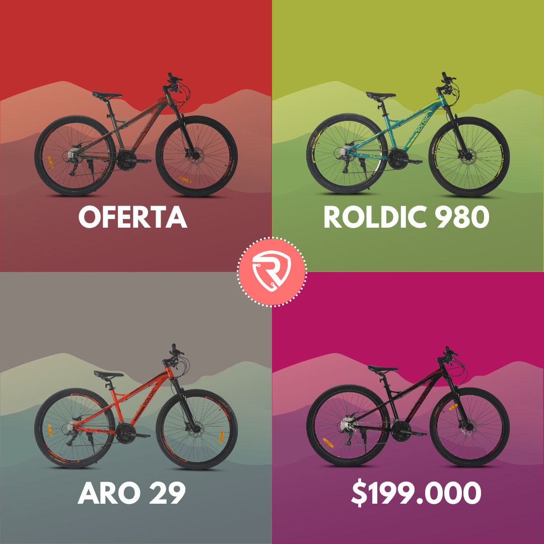 Roldic — Branding para Tienda de Bicicletas